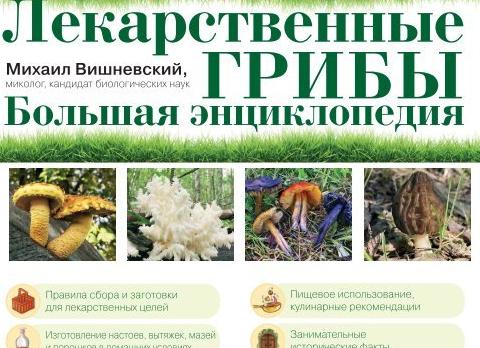 Иммуномодуляторы и иммуностимуляторы: правда и мифы о волшебных пилюлях