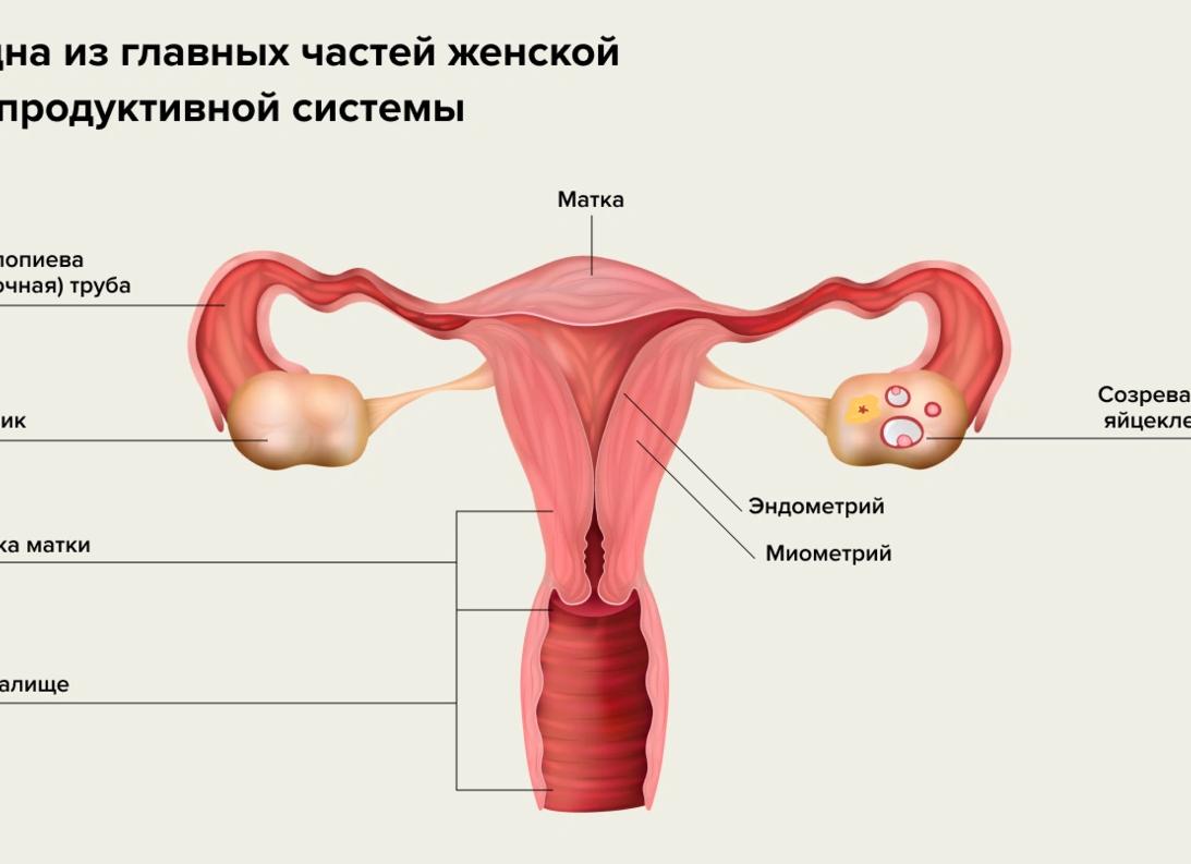 Почему болит бок во время месячных?