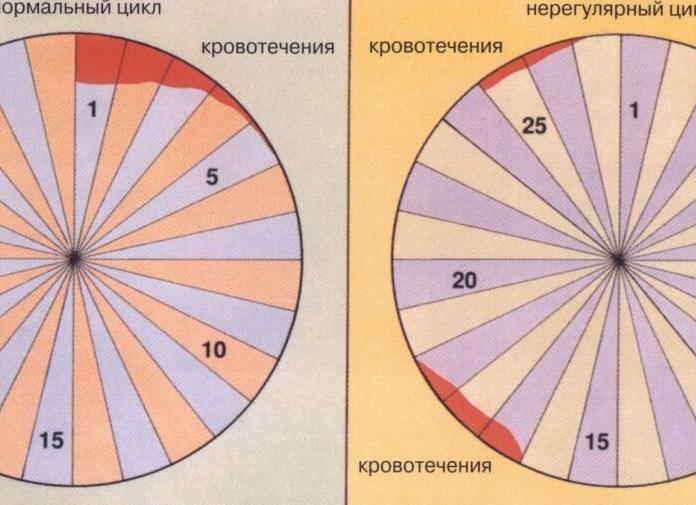 Задержка месячных или нарушение цикла - что делать?