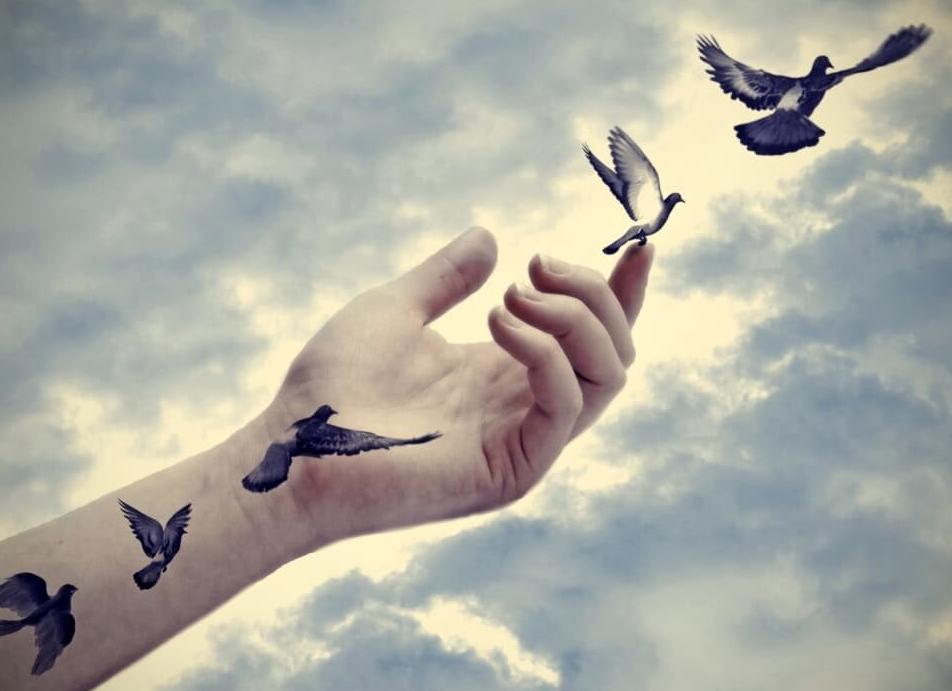 15 практик, чтобы полюбить себя, начать уважать себя и жить в гармонии с собой