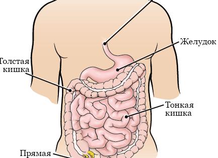 9 бюджетных марок косметики, о которых знают не все