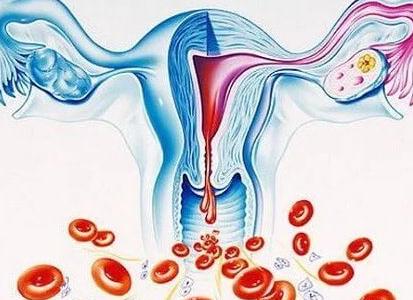 Почему у девушек идут месячные?