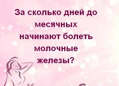 За сколько дней до месячных начинают болеть грудь и живот?